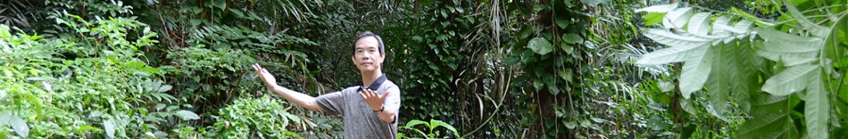 slide5d.jpg